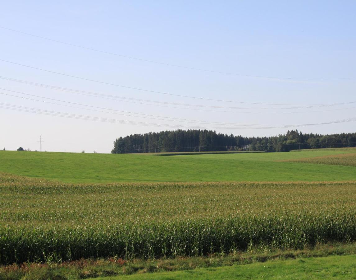 Traubshof Ochsenhausen Exterior foto