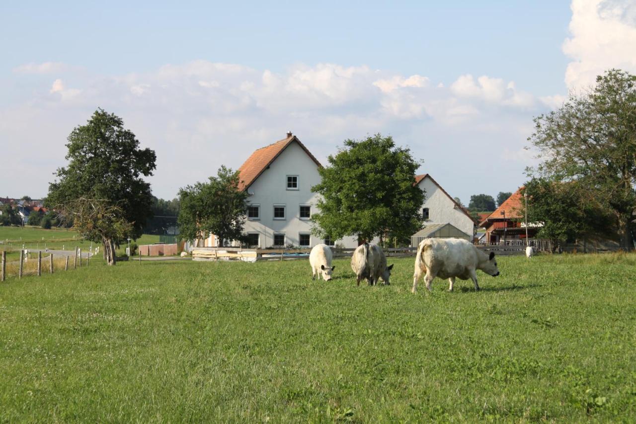 Traubshof Ochsenhausen Exterior foto